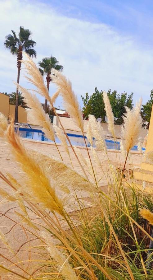 カラ・エン・ブラネスApartamento Con Piscina En Ciudadela, Cala En Blanesアパートメント エクステリア 写真