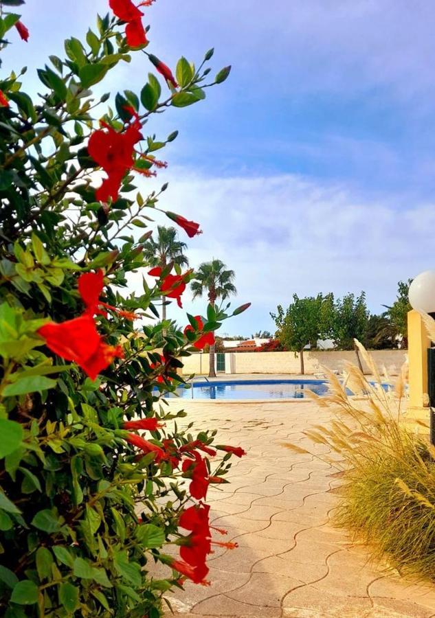 カラ・エン・ブラネスApartamento Con Piscina En Ciudadela, Cala En Blanesアパートメント エクステリア 写真